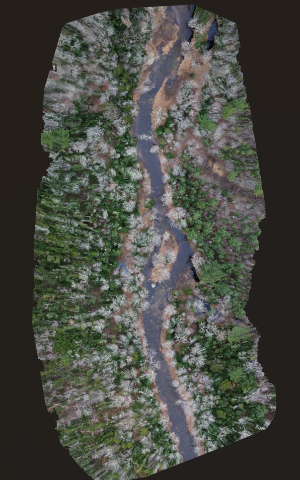 Drone orthophoto map of a stream corridor