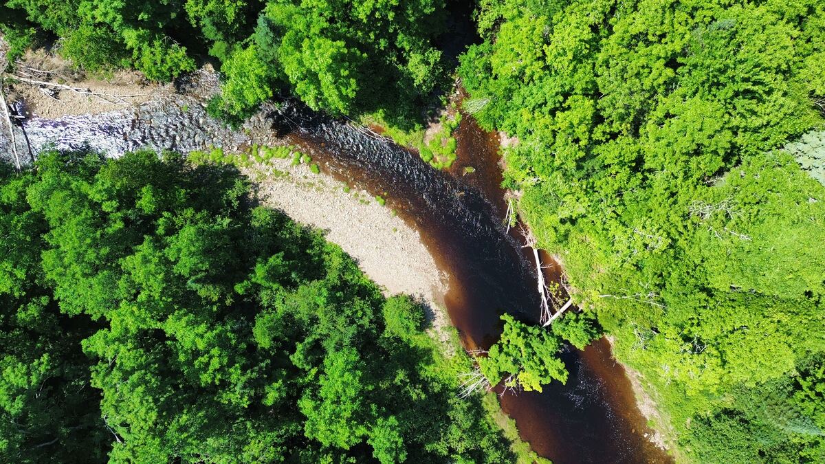 Drone view of a river reach with a gravel bar